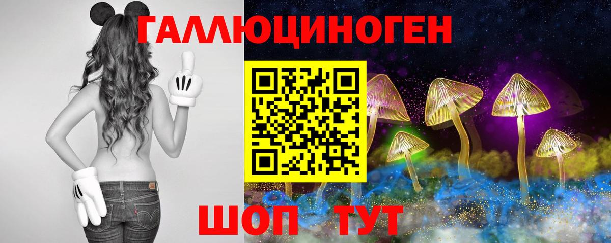 Псилоцибиновые грибы Psilocybe Арзамас