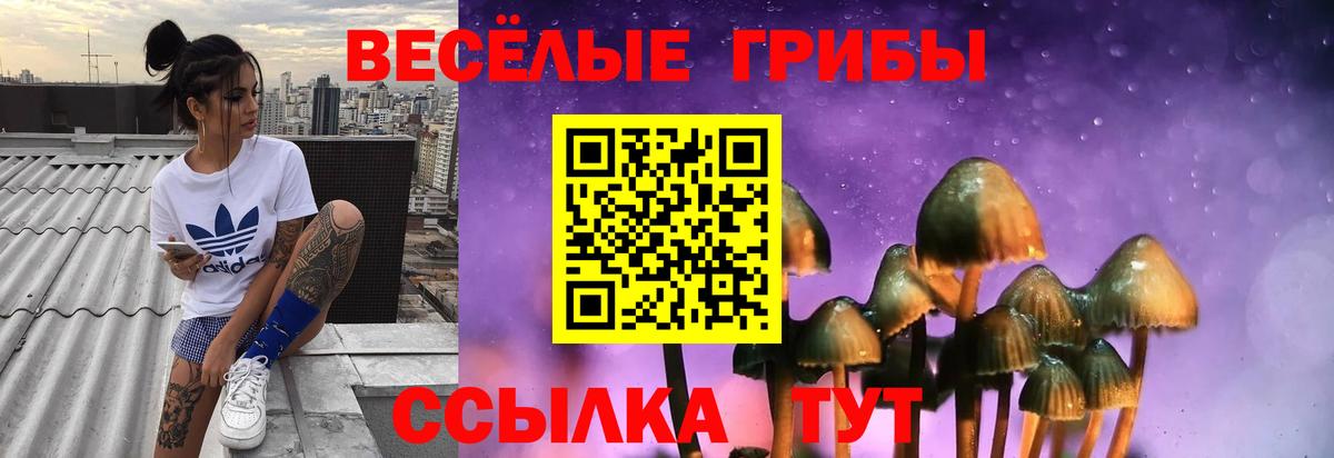 Арзамас  Псилоцибиновые грибы Magic Shrooms  Вход с VPN  Галлюциногенные грибы Cubensis 